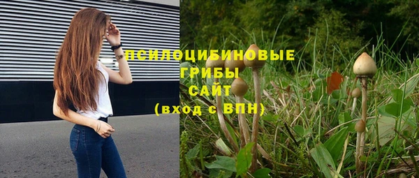 дурь Богданович